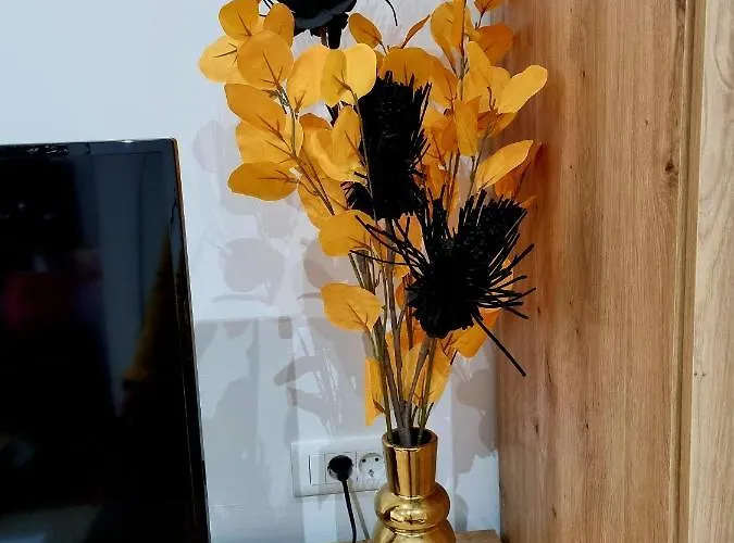 Apartman Retro Chic Pula